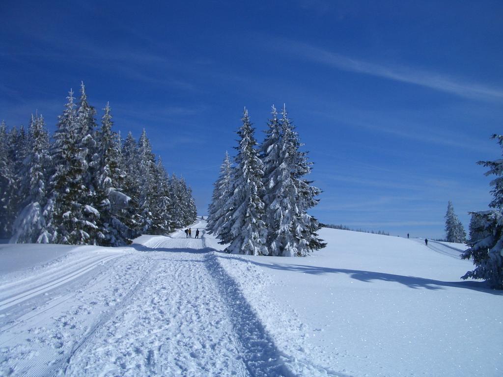 Gasthaus Sonne Münstertal Esterno foto